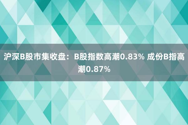 沪深B股市集收盘：B股指数高潮0.83% 成份B指高潮0.87%